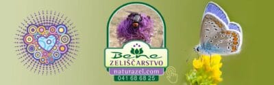 https://www.naturazel.com/vse-kategorije/