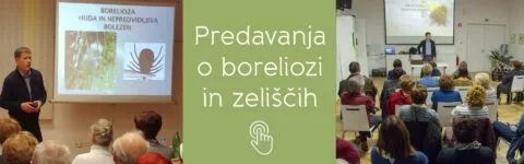 Divja ščetica